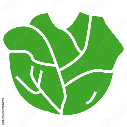 cabbage green vegetable icon illustration vector