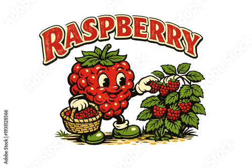 Vintage raspberry character picking berries into a basket