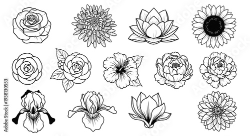 Detailed Floral Line Art and Botanical Flower Sketches