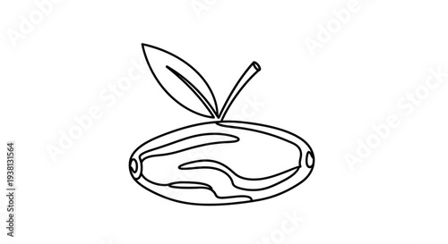 Simple Line Drawing of an Apple Fruit.