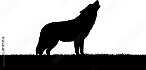 Wolf howling on a grassy horizon silhouette