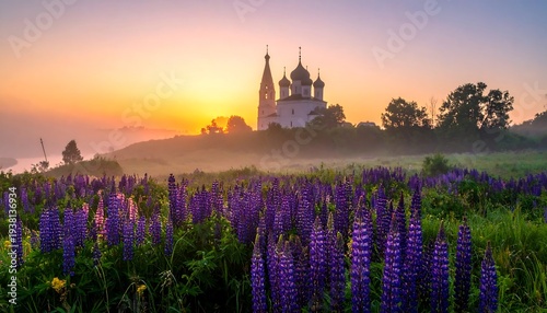Sunrise over a purple flower field, silhouettes of trees and a building on a hill, fog-covered