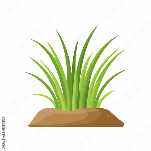 Illustration of a grassy plant with green blades and brown soil