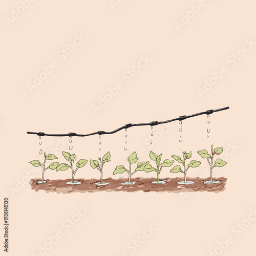 Overhead Drip Irrigation Emitter on Seedlings