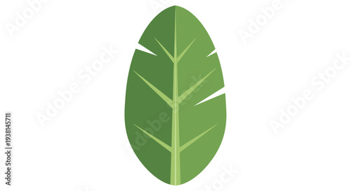 Green Leaf Illustration.