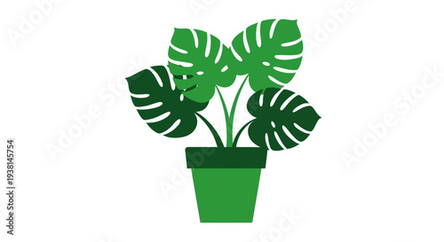 Green Potted House Plant.