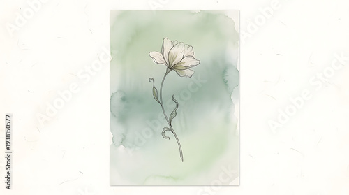 Serene Floral Illustration: A delicate watercolor illustration showcases a graceful, solitary flower, its elegant petals and slender stem against a soft, blended backdrop.