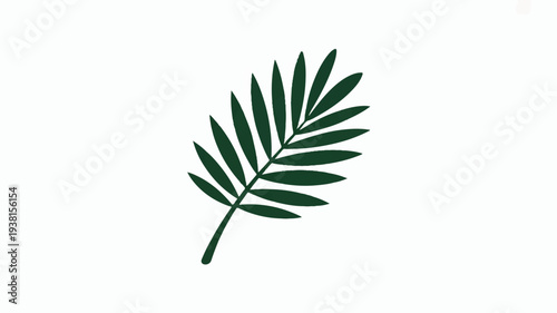 Dark green fern leaf on white background isolated natural botanical symbol icon eco friendly fresh foliage plant