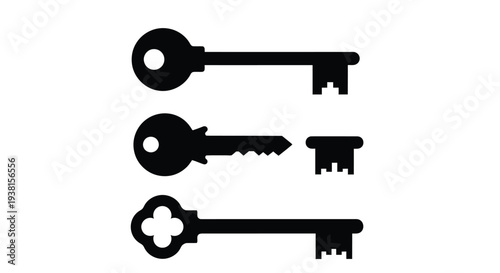 Set of black keys vector illustration design representing security, access, and unlocking important concepts.
