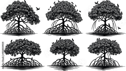 mangrove tree silhouette set with birds, tropical coastal mangrove forest roots illustration, nature ecosystem vector collection isolated design