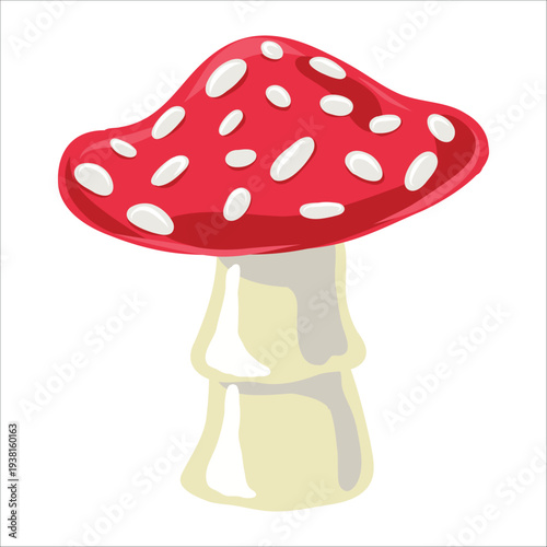 Small cute red toadstool on white background