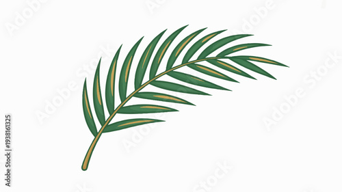 Single green palm leaf branch on white background symbolizing nature and tropical environments perfect for eco friendly designs