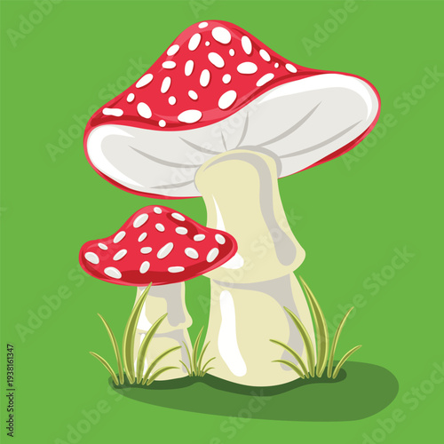 Two red fly agaric mushrooms in green grass