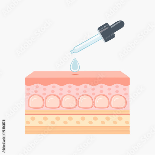 Applying serum to skin layers illustration showing skincare routine and skin health