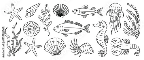 marine wildlife doodle coral, starfish and shell seahorse and mollusk, lobster and seaweed jellyfish fish cute aquarium, hand drawn isolated ocean animals nautical sketch vector set, decorative emblem