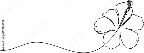 Hibiscus flower continuous one line art drawing minimalist style