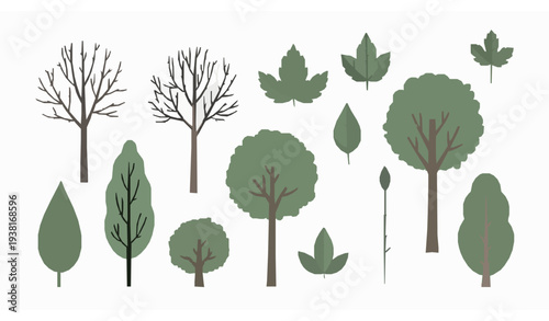 Botanical tree and leaf collection hand drawn flat vector elements with bare and green trees isolated on white