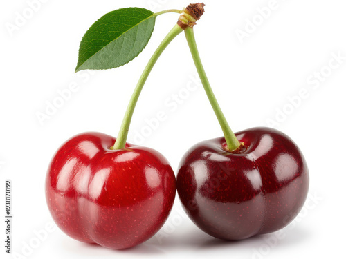 Two cherries with stems and green leaf red cherries
