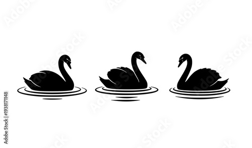 Swan Silhouette on Water Vector Set Elegant Bird Collection Isolated on White