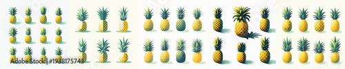 vector set image of pineapple