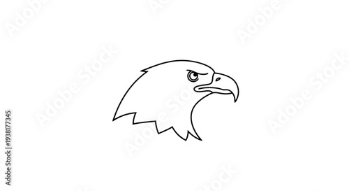 American Bald Eagle Head Profile.