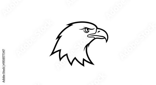 American Eagle Head Closeup Profile View.