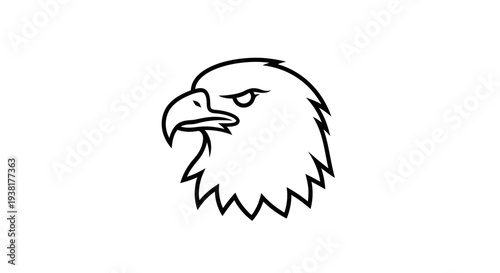 Bald Eagle Head Close Up Portrait.