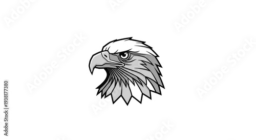 Bald Eagle Head Close Up Portrait.