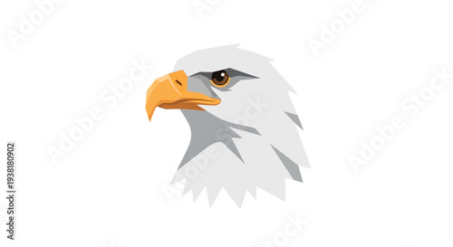 Bald Eagle Head Illustration with Beak.