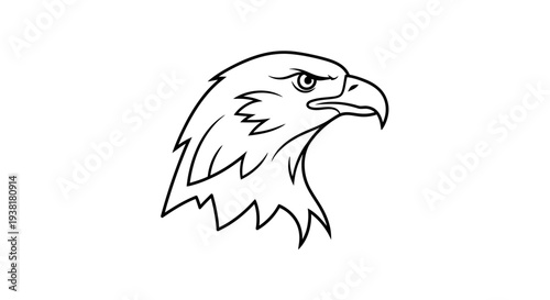 Bald eagle head profile view.