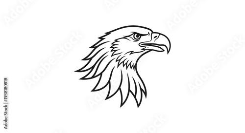 Bald eagle head profile view.