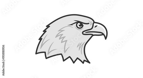 Bald Eagle Head Profile View.