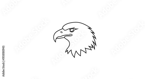 Bald eagle head profile view.