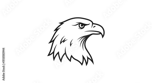 Bald Eagle Head Profile View.