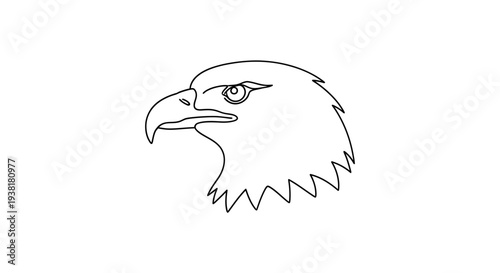 Bald Eagle Head Side Profile View.