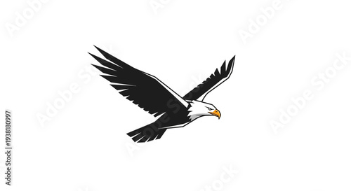 Bald Eagle Soaring Through the Air.