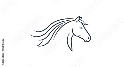 Black and White Horse Head Illustration.