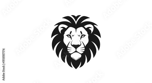 Black and white lion face closeup.