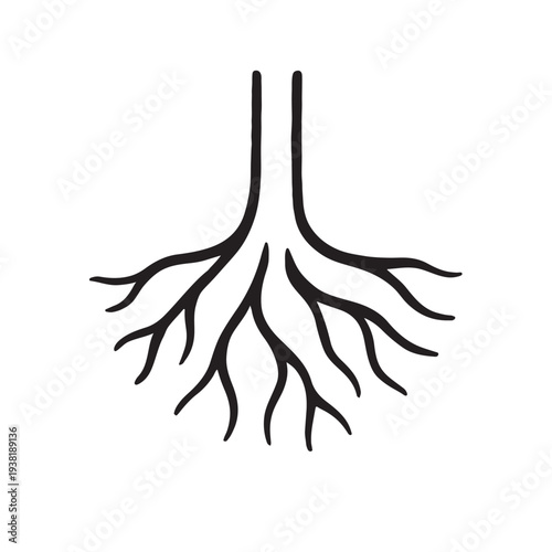 Tree Roots Root System Nature Plant Roots Vector Illustration Icon