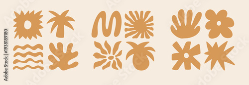 set of abstract organic boho shapes and botanical elements. Simple palm and suns. Design elements for branding and packaging