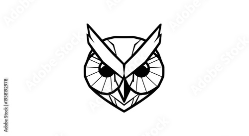 Black and White Owl Illustration Design.