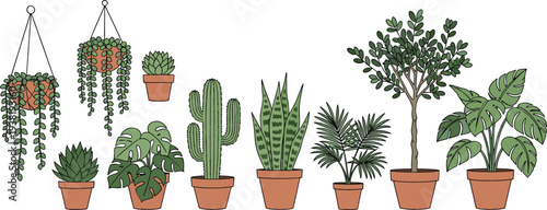 Large collection of indoor potted plants and hanging greenery including cactus monstera snake plant and succulents for home.