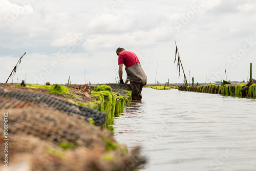 Ostréiculteur vêtu d'une cotte, en train de manipuler les poches d'huitres pour contrôle, format paysage