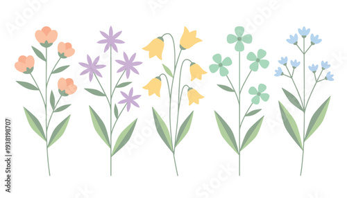 A charming illustration showcasing a collection of delicate spring flowers and plants in a variety of colors and styles, perfect for floral designs