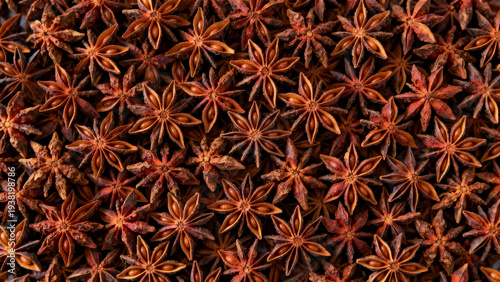 Dried star anise pods close-up highlighting aromatic spice texture and herbal medicine