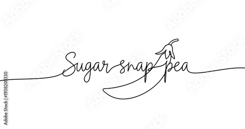 Continuous line art of sugar snap pea with flower illustration. No editable strokes