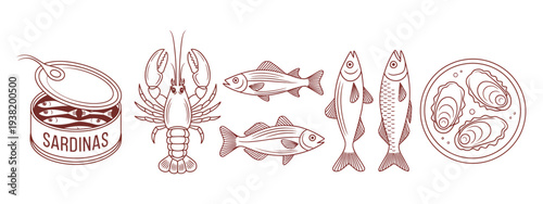 mediterranean italian fish sardines lobster hand drawn illustrations, seafood sketches for culinary design packaging menus and restaurant decor, decorative emblem for rank title award certificate.
