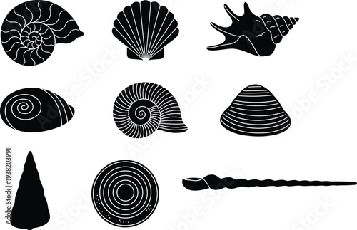 Collection of seashell silhouettes including spiral shell, scallop, conch and clam isolated vector set for marine life, beach design