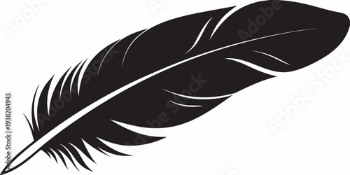 A striking black and white illustration of a single bird feather