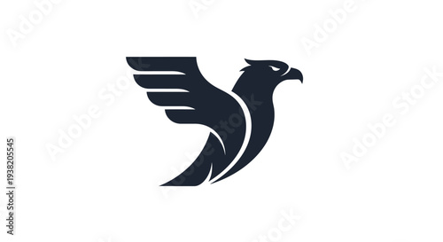 Black Bird Logo Design Illustration.